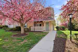 featured image of 205 Horseshoe Dr