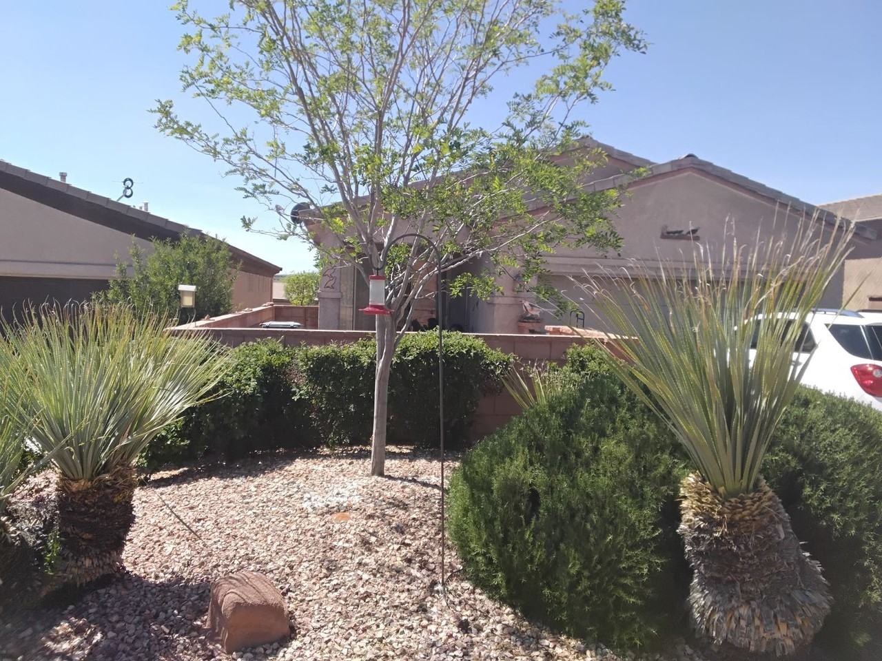 2132 Canyon Greens Dr - Photo 2 of 3