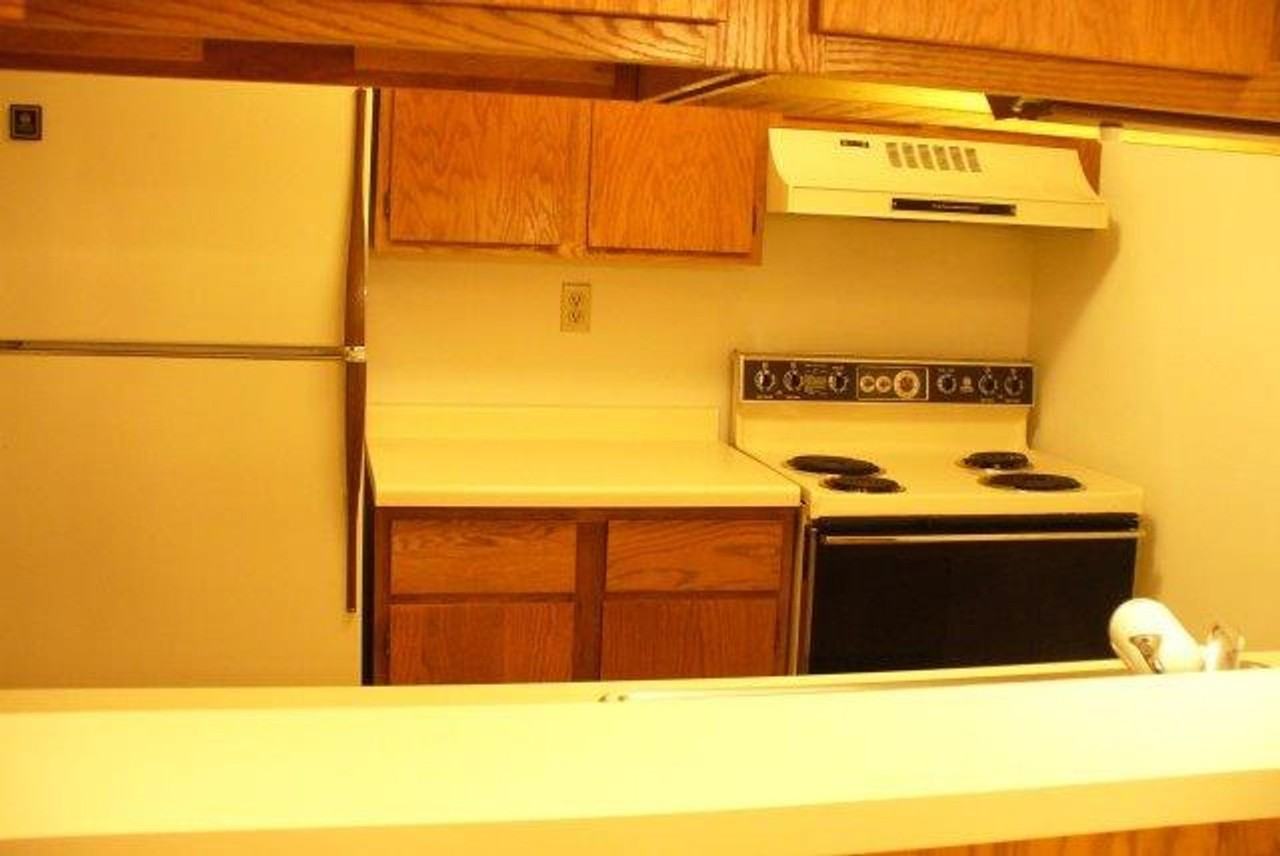 203 Ski Ct - Photo 7 of 15