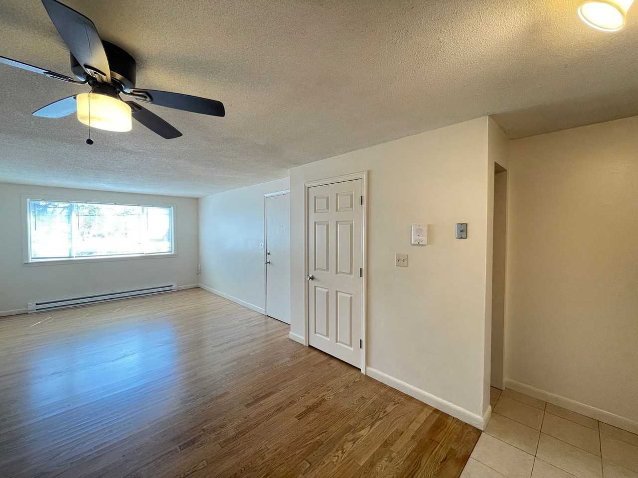 173 Loudon Rd #404 - Photo 4 of 21