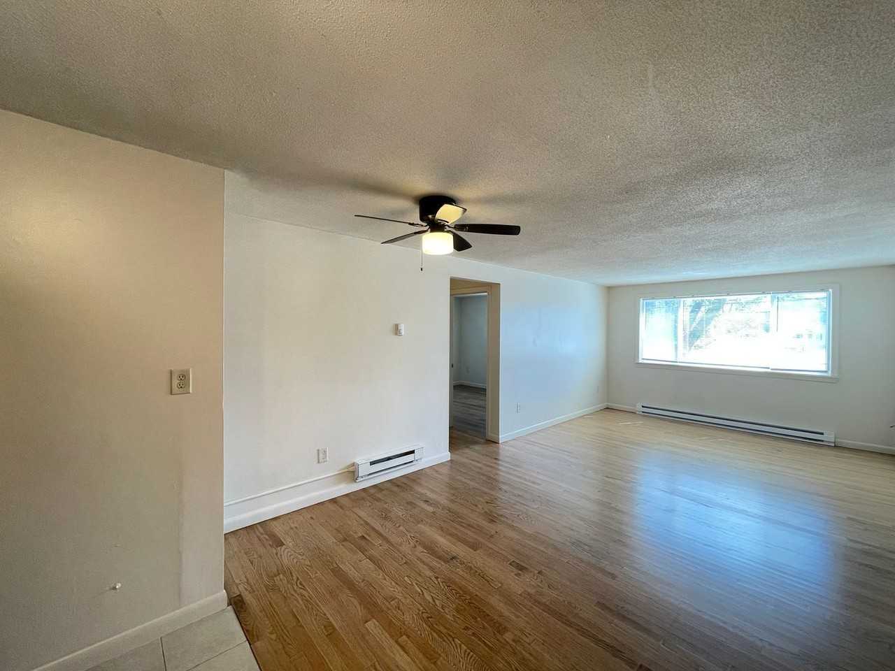 173 Loudon Rd #404 - Photo 5 of 21