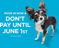 Henderson Meadows - Photo 1 of 1