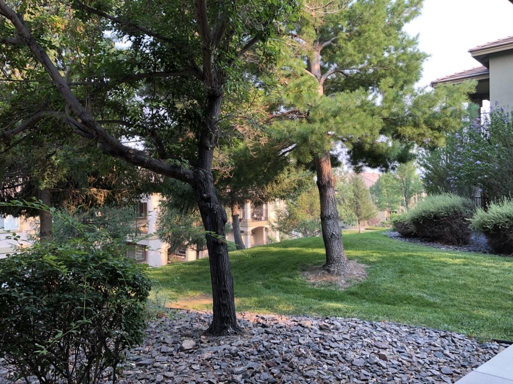 Unit G1038 - Photo 7 of 11