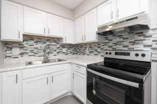 Townhomes at Easton Park - Photo 1 of 1