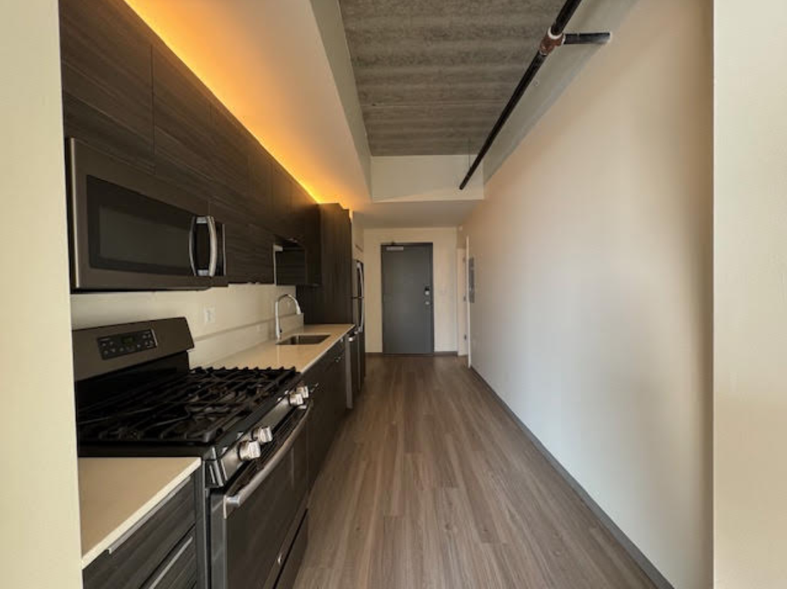 1921 N Milwaukee Ave #508 - Photo 4 of 12