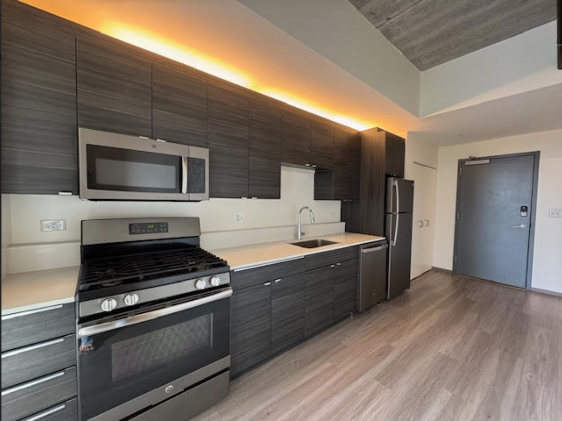 1921 N Milwaukee Ave #508 - Photo 5 of 12