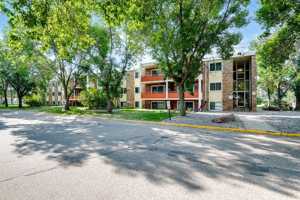 featured image of 8316 Zane Ave N