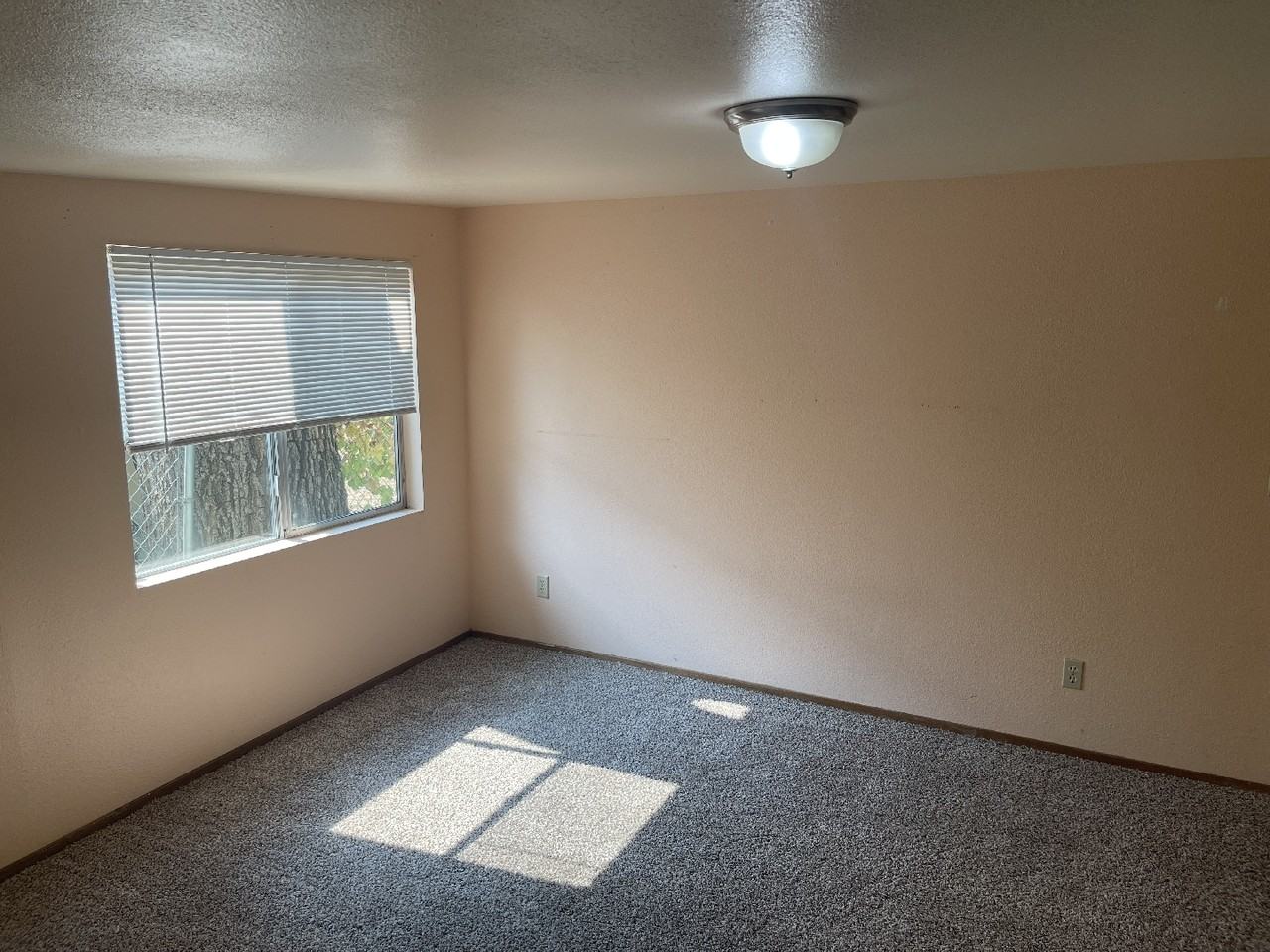 1092 Humboldt Avenue (G) - Photo 5 of 14