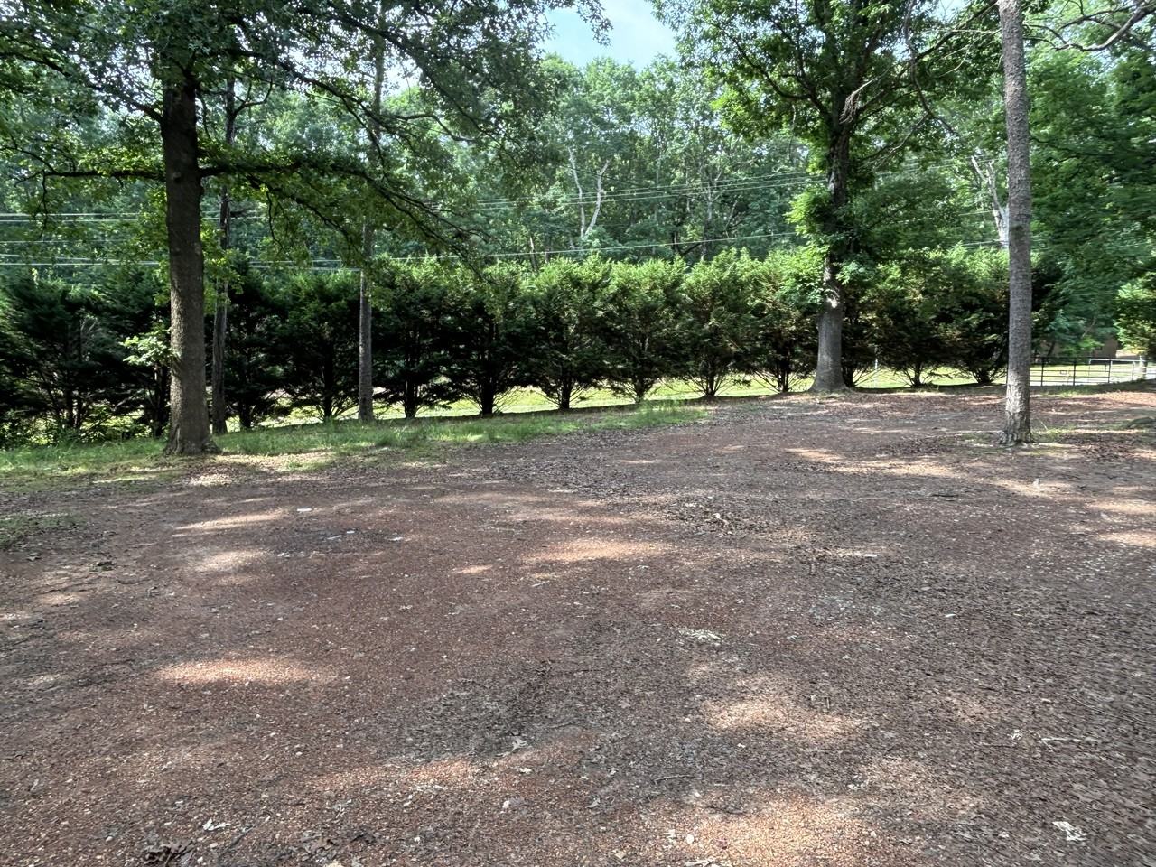 3021 Walkup Ave #1 - Photo 5 of 6