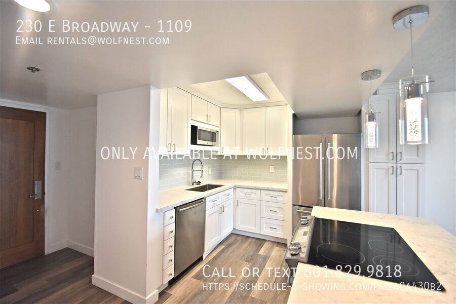 230 E Broadway #1109 - Photo 4 of 36