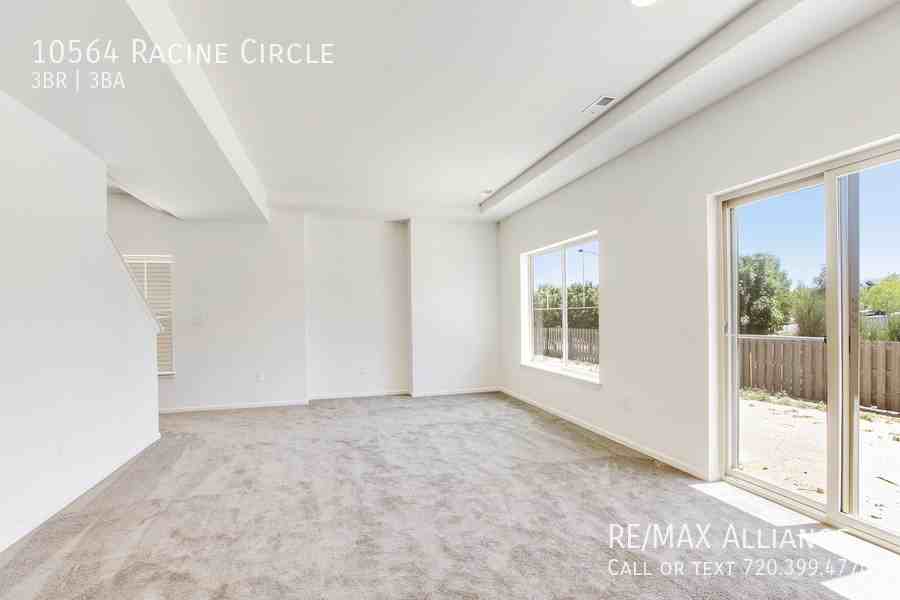 10564 Racine Cir - Photo 4 of 24