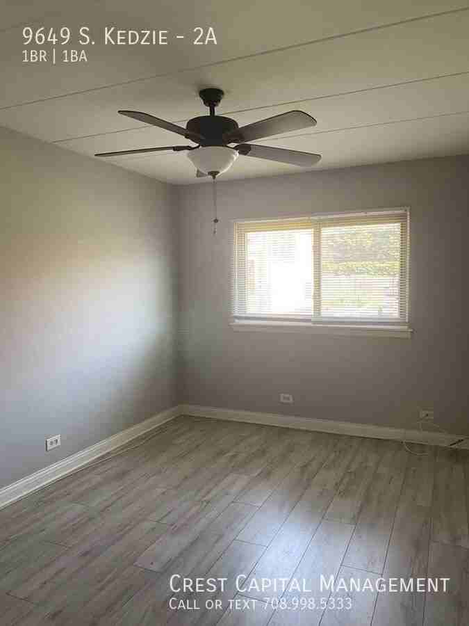 9655 S Kedzie Ave #2 - Photo 5 of 6