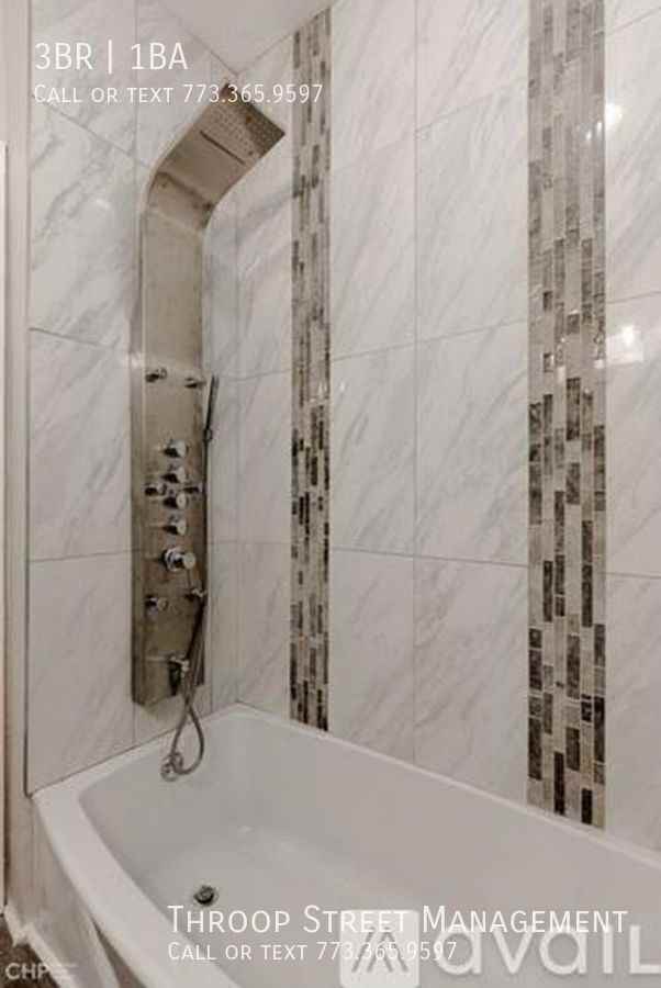 6032 S Saint Lawrence Ave Apt 1 - Photo 4 of 13