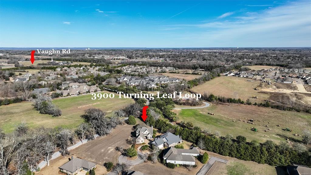 3900 Turning Leaf Loop #1 - Photo 3 of 49