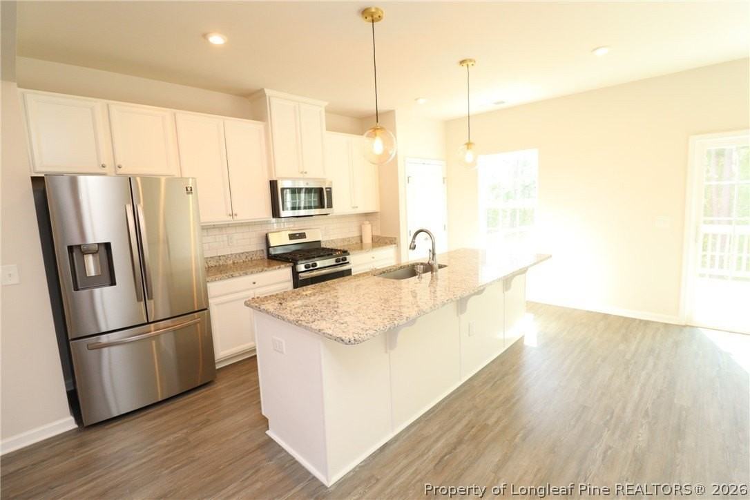 244 Amber Acorn Ave - Photo 3 of 50