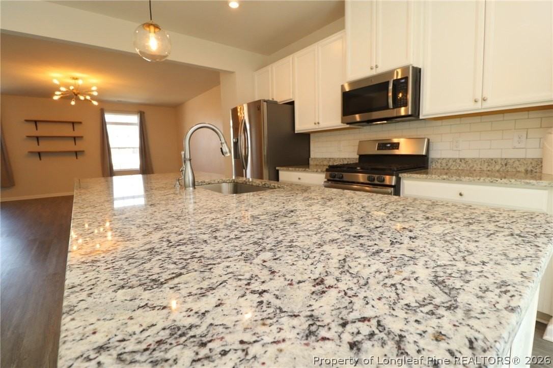 244 Amber Acorn Ave - Photo 6 of 50