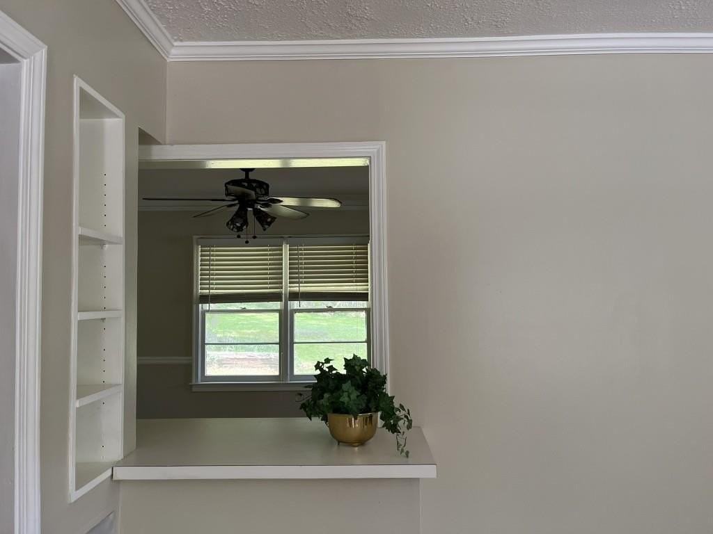 549 Alpine Way - Photo 5 of 25