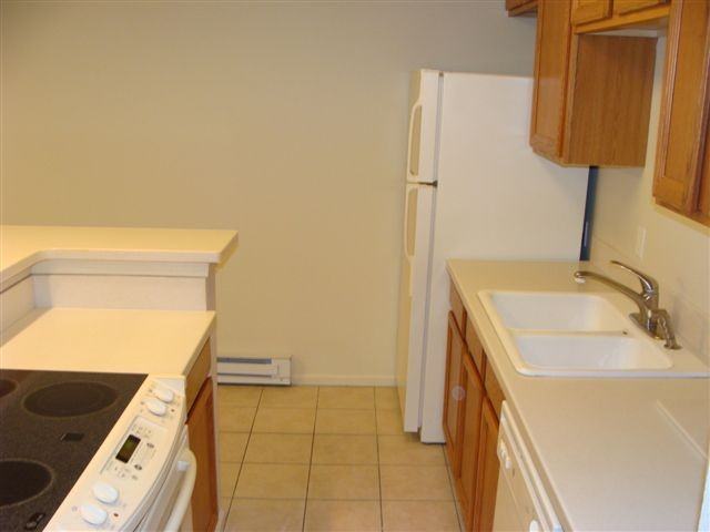 WindstreamColumbine Dr #1 - Photo 2 of 9