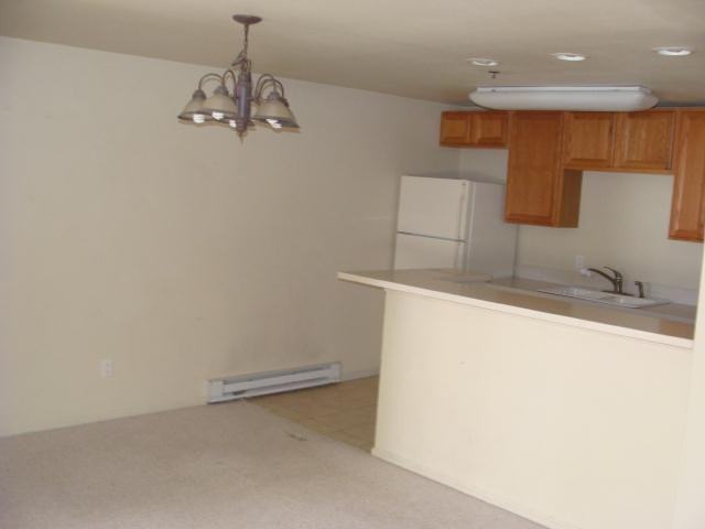 WindstreamColumbine Dr #1 - Photo 4 of 9