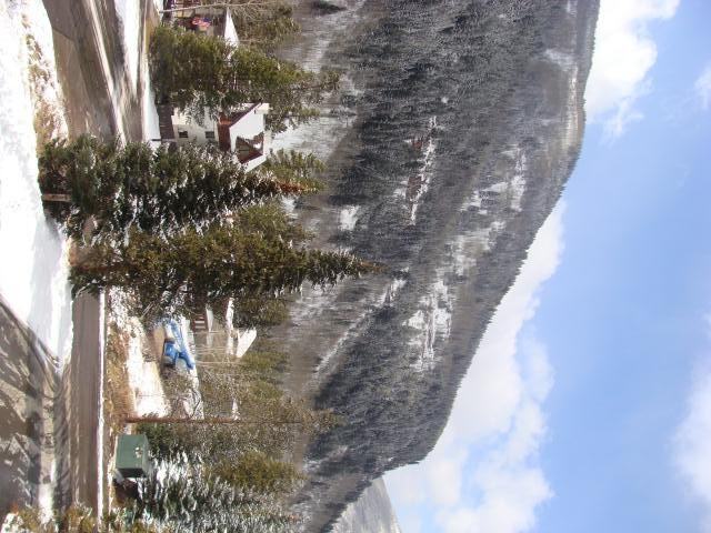 WindstreamColumbine Dr #1 - Photo 7 of 9