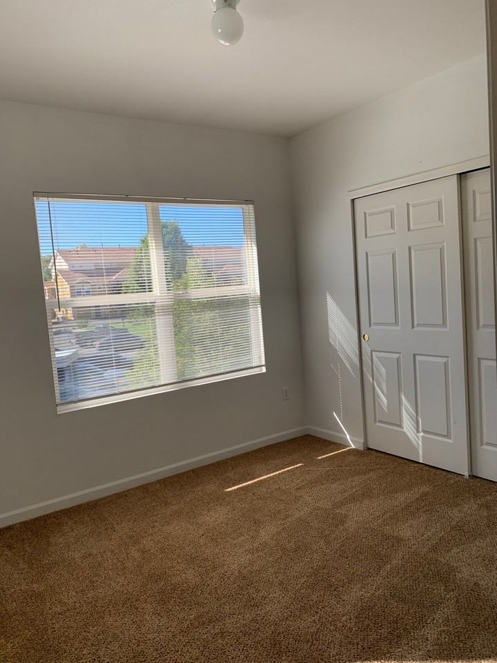 906 Lucca Dr - Photo 7 of 13