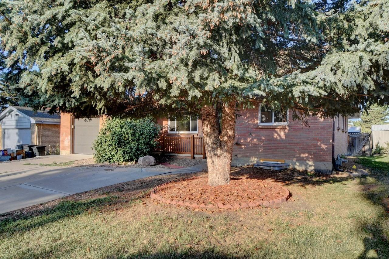 615 Poppy Way - Photo 3 of 36