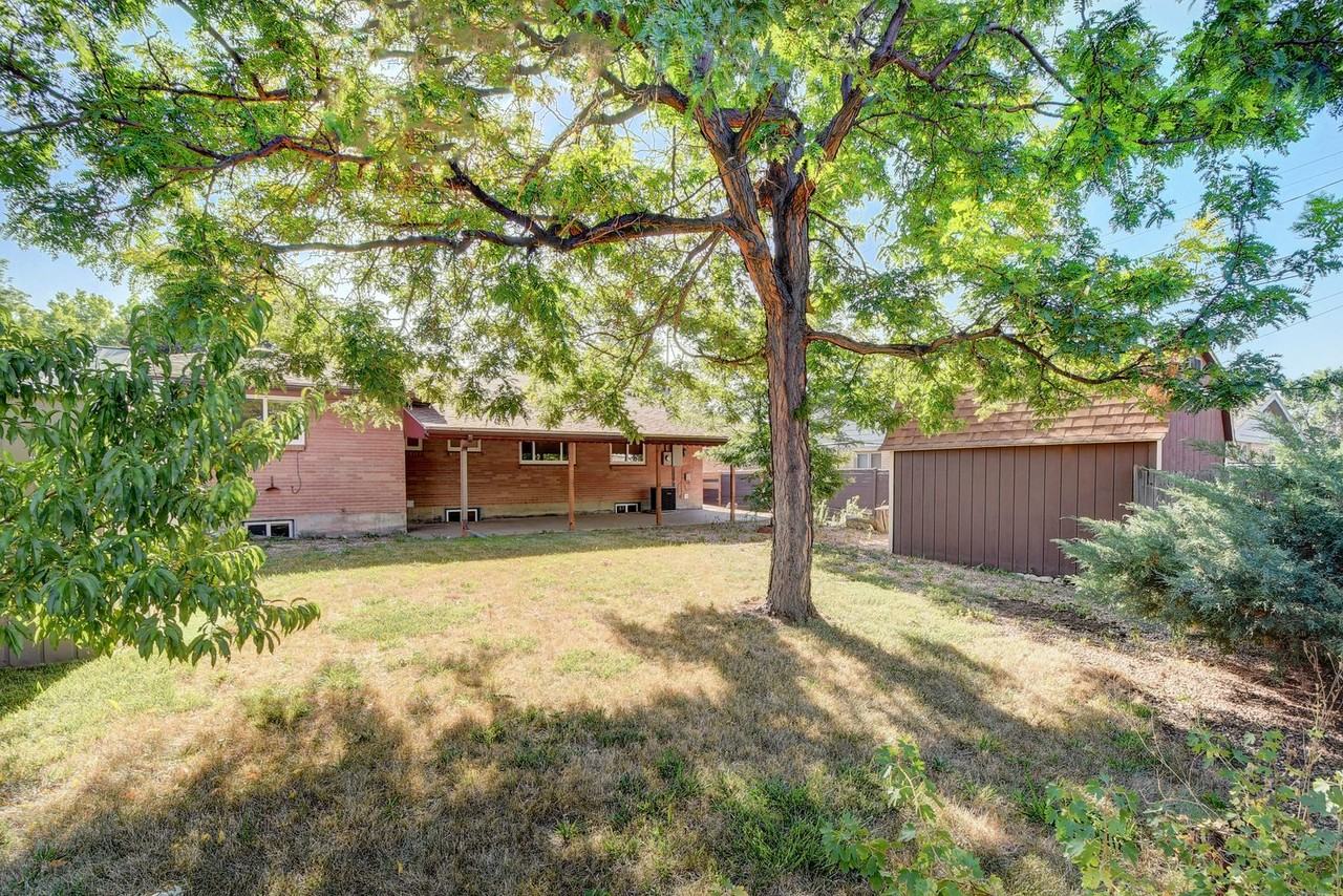 615 Poppy Way - Photo 6 of 36