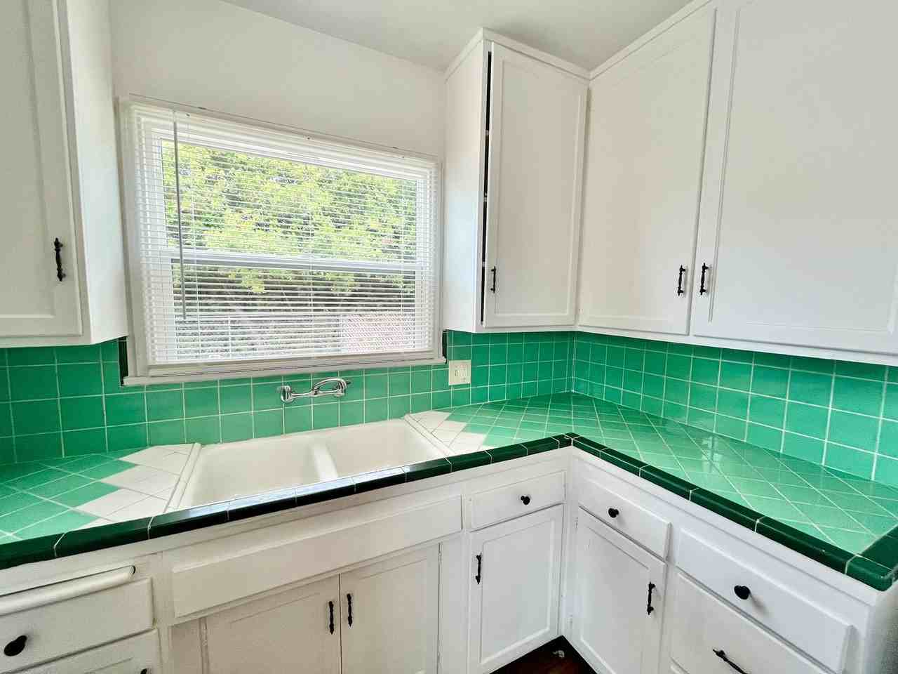 1828 Rowan St - Photo 2 of 17