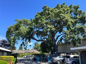 SleepMode 330 Ventura, LLC - Photo 1 of 1