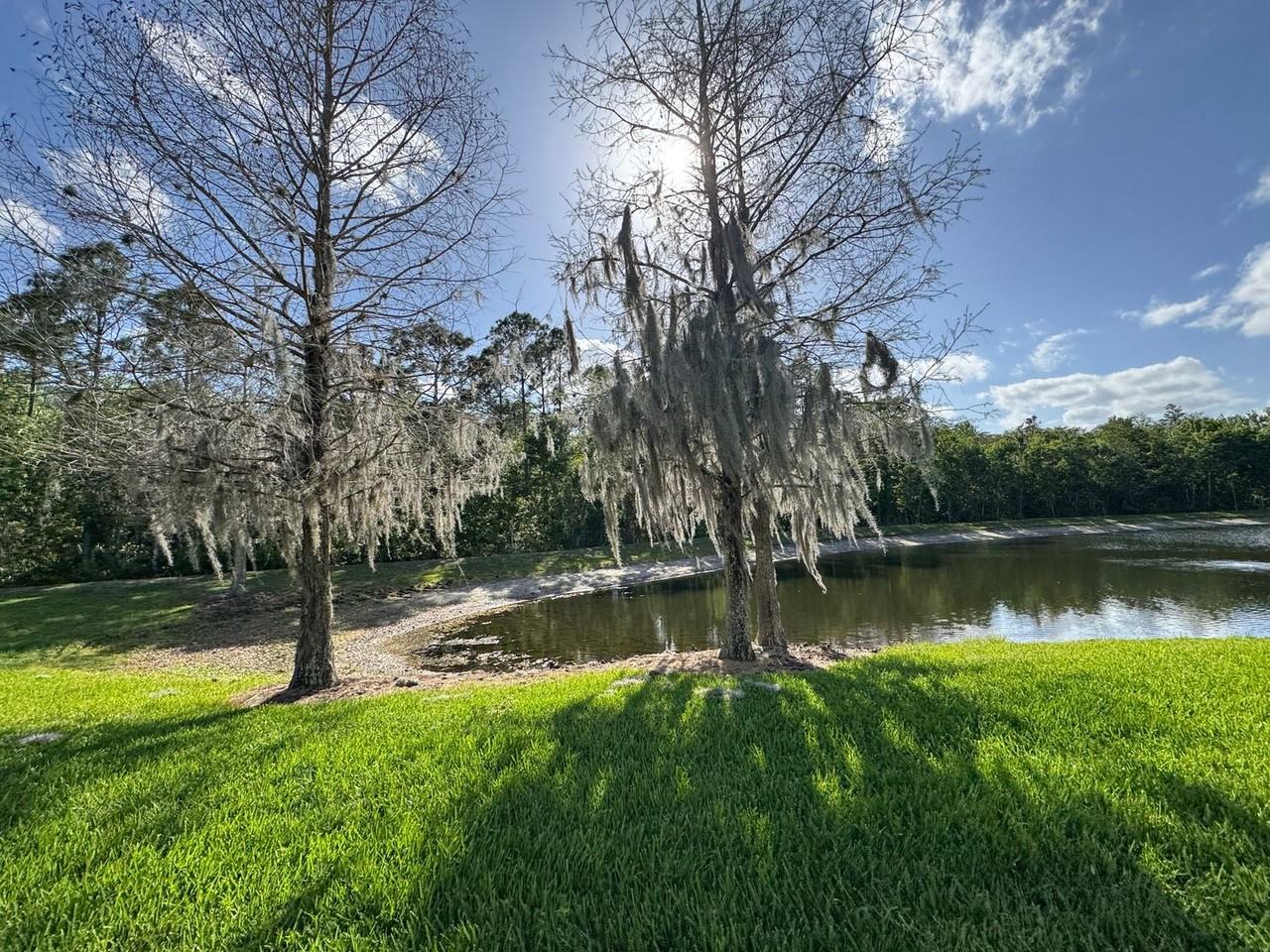 5926 Tivoli Gardens Blvd - Photo 3 of 28