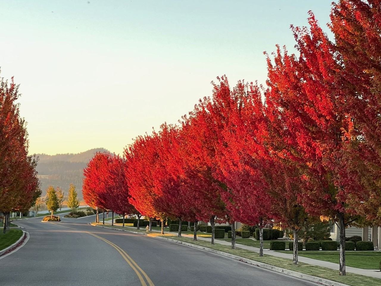 2110 N Country Vista Blvd - Photo 4 of 5