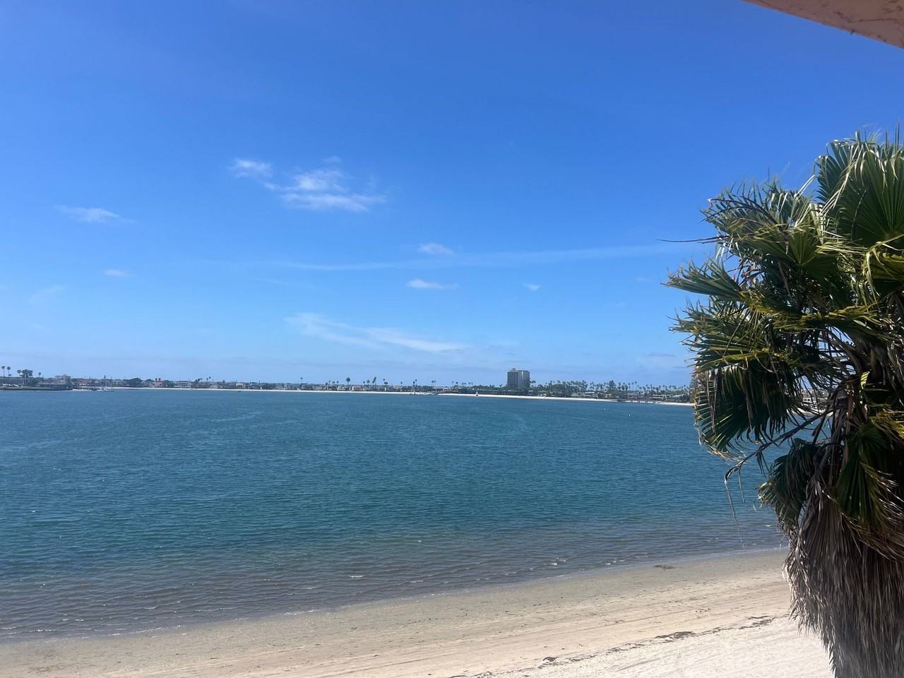 3802 Riviera Dr - Photo 6 of 10