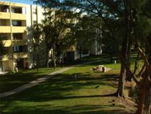 10000 Nw 80th Ct #2463 - Photo 1 of 1