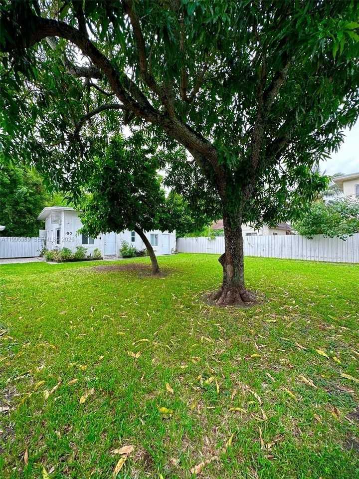 60 Ne 78th St - Photo 6 of 13