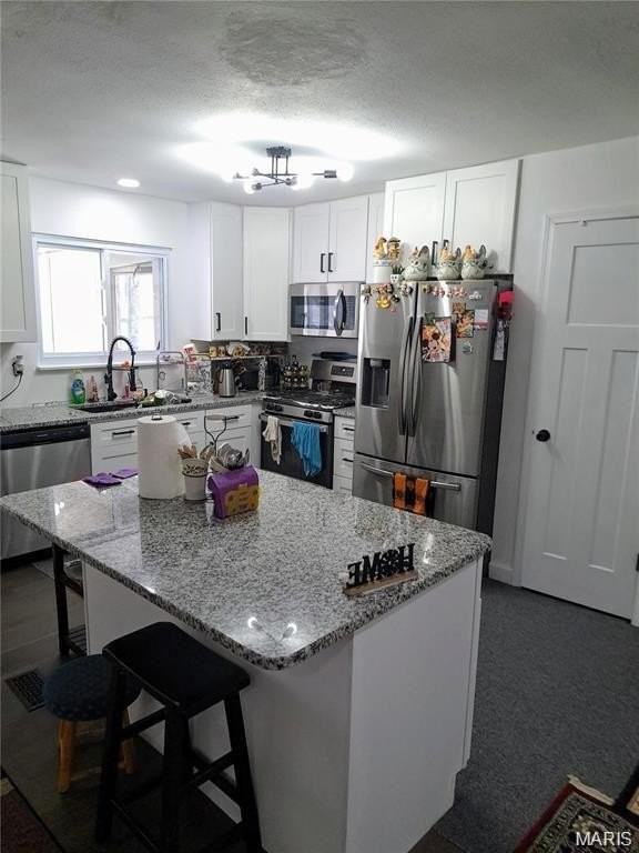 2336 Hempline Ct - Photo 5 of 16