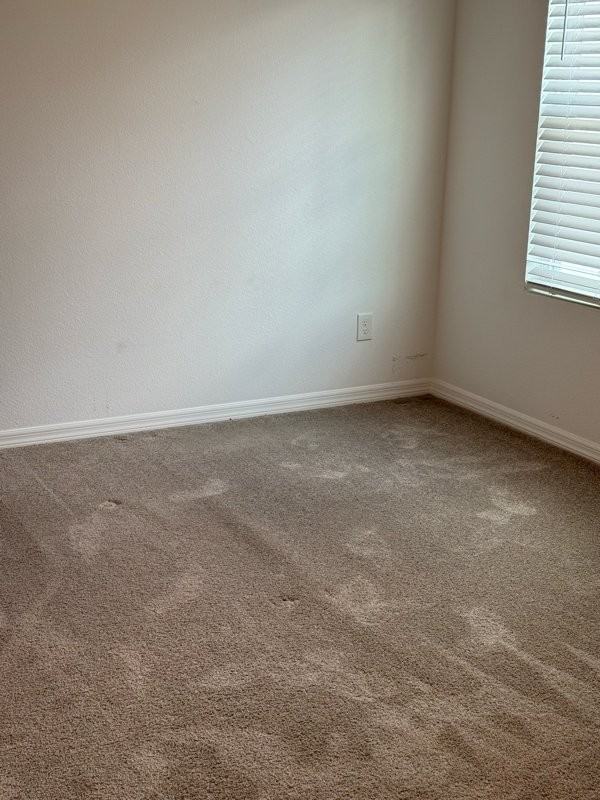 648 Belgrove St - Photo 4 of 9