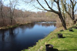 featured image of 43B Sherman Ave #B