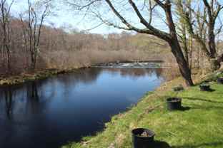 43B Sherman Ave #B - Photo 1 of 1