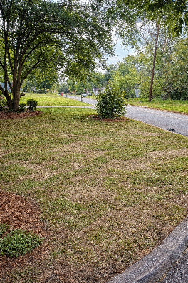 4322 Mikado Ave #1 - Photo 2 of 19