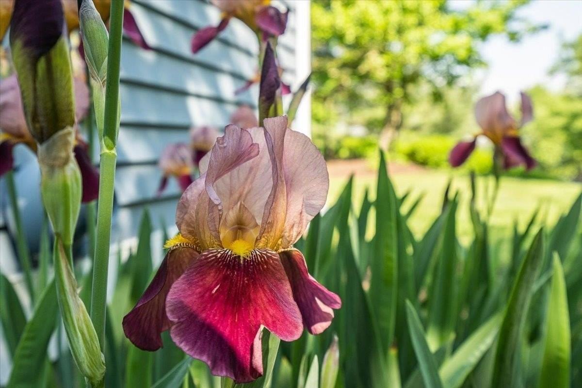 7 Swift Ln - Photo 4 of 39