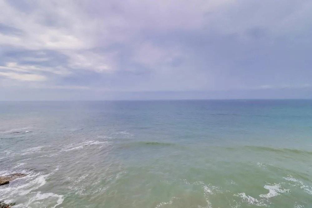 4909 Orchard Ave #302 - Photo 4 of 28