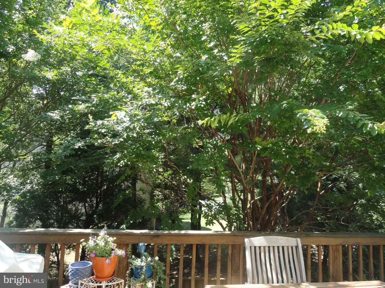 2050 Meadow Springs Dr - Photo 5 of 6