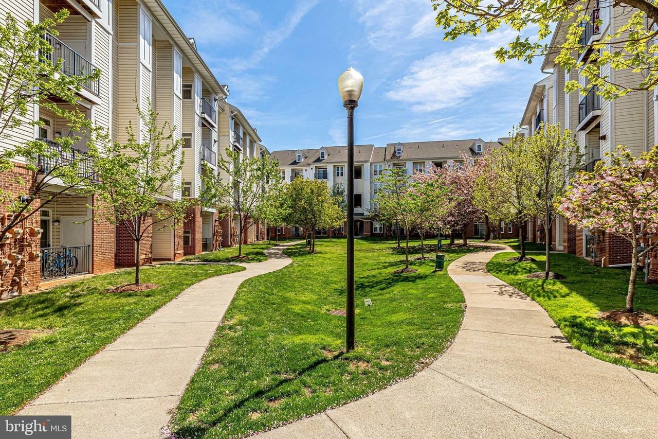 21216 Mcfadden Sq #305 - Photo 6 of 39