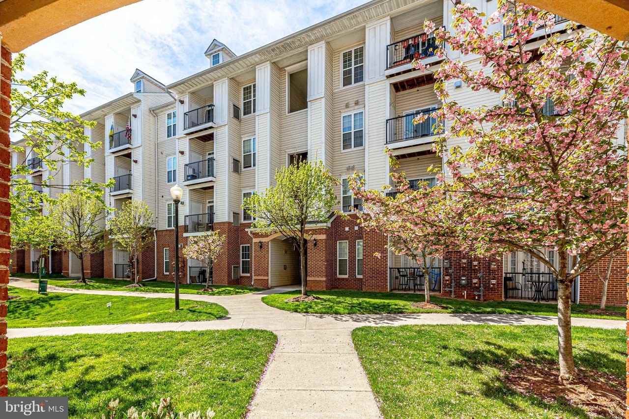 21216 Mcfadden Sq #305 - Photo 7 of 39