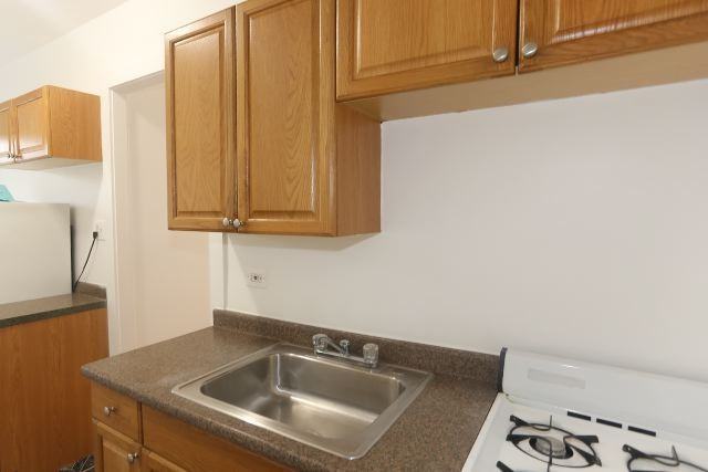 3259 W Wrightwood Ave #1F - Photo 4 of 15