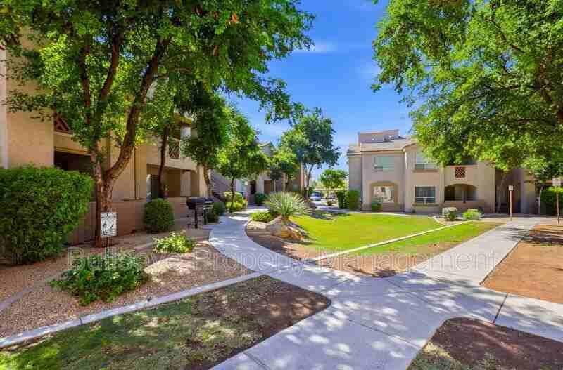 29606 N Tatum Blvd #164 - Photo 2 of 30