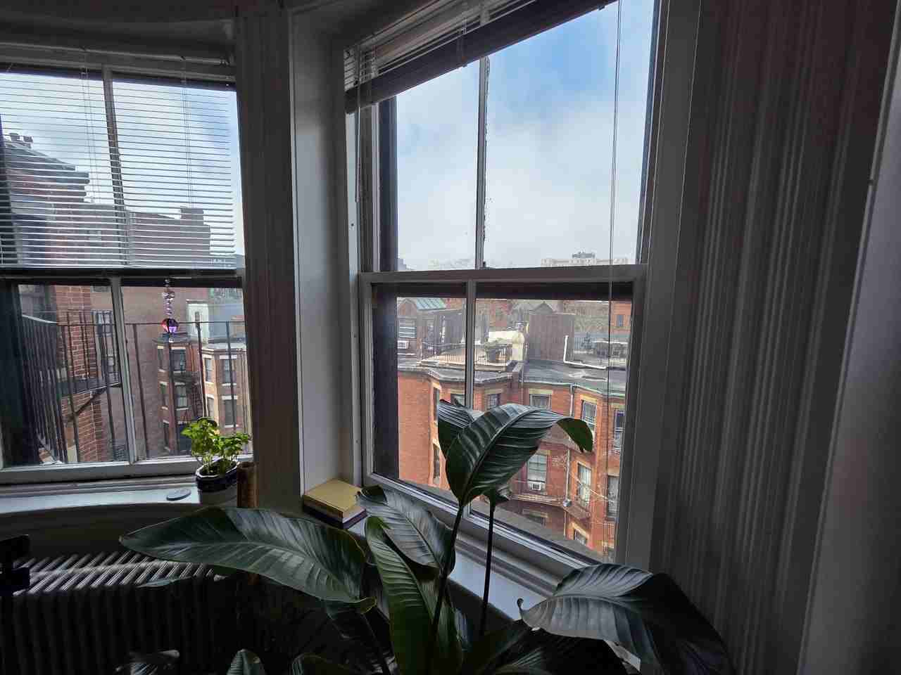 Commonwealth Ave #7 - Photo 4 of 7