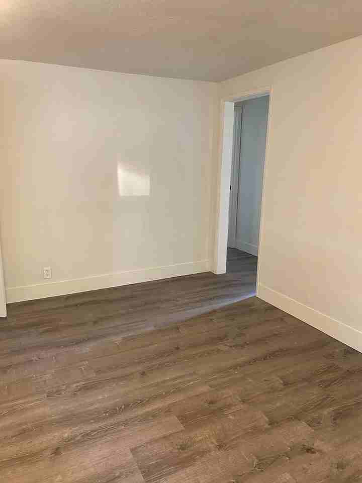 1642 Mulberry St - Photo 3 of 20