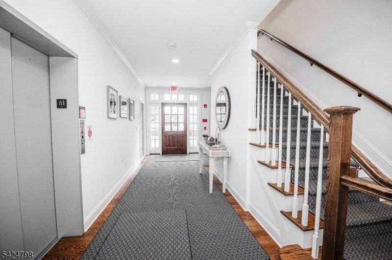 29 Euclid Ave #202 - Photo 6 of 8