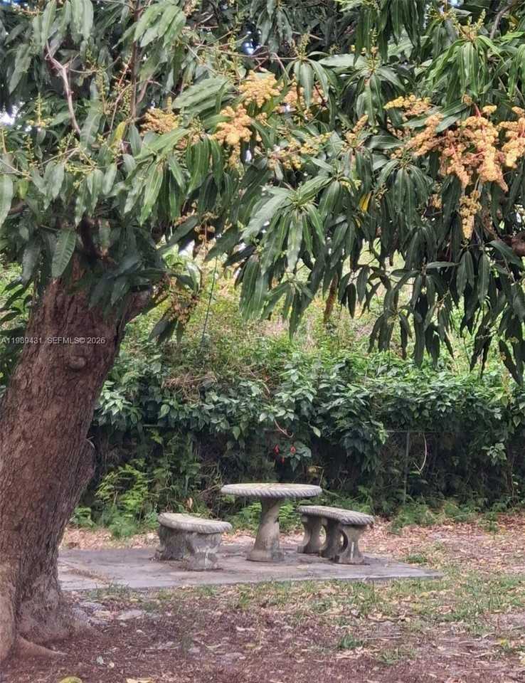 1043 Northeast 114th Street - Photo 4 of 8